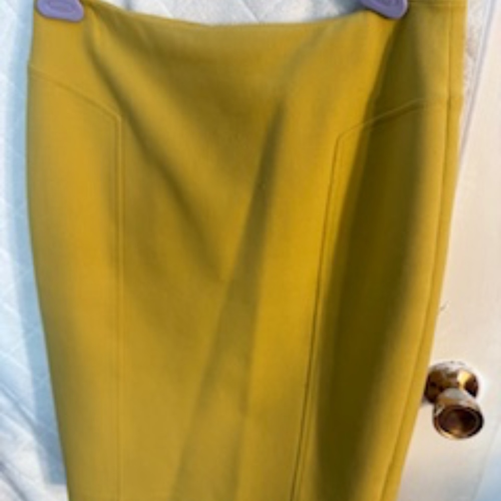 HALOGEN PENCIL SKIRT 2